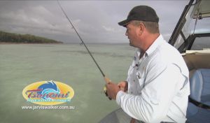 VIDEO: How To Series 2 – Basic soft plastic retrieves